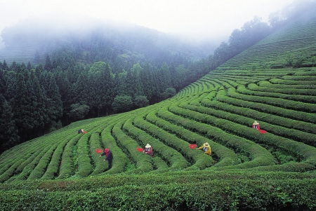 Nature sceneの写真素材