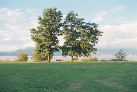 Nature sceneの写真素材