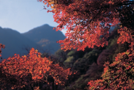 Scenics of Autumnの写真素材