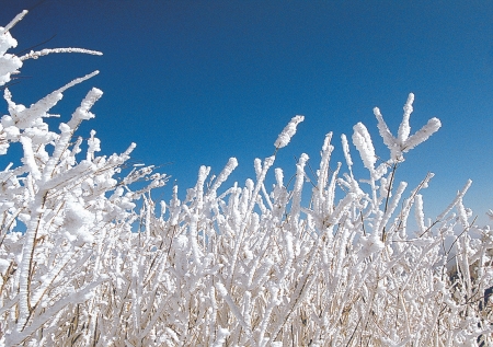 Scenics of Winterの写真素材