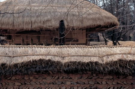 Rural sceneの写真素材