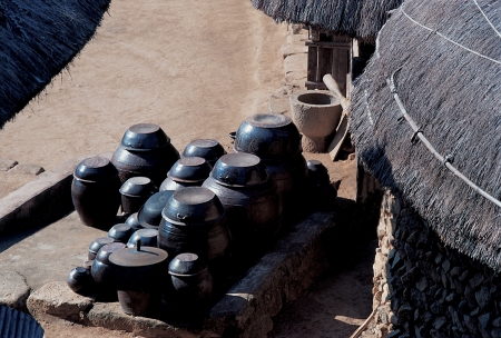 Rural sceneの写真素材