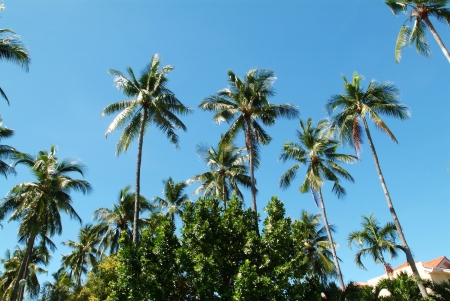 Attractive seascapeの写真素材