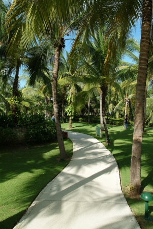 Scenicsのeditorial素材