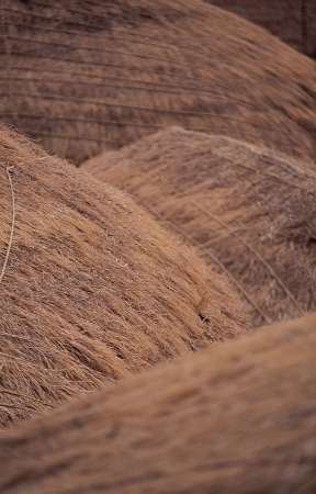 Traditional culture expression in Koreaの写真素材