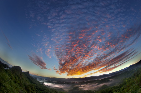 Arrayの写真素材