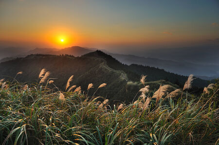 Arrayの写真素材
