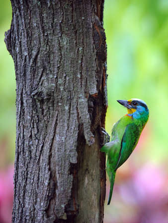 Arrayの写真素材