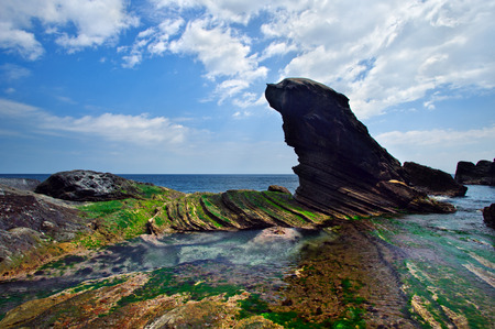 Arrayの写真素材