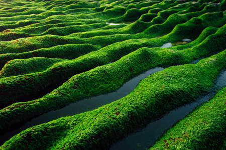 Arrayの写真素材