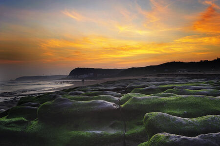 Arrayの写真素材