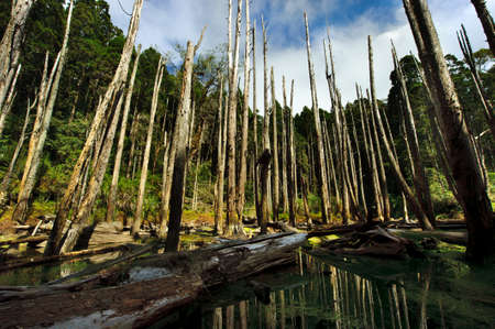 Arrayの写真素材