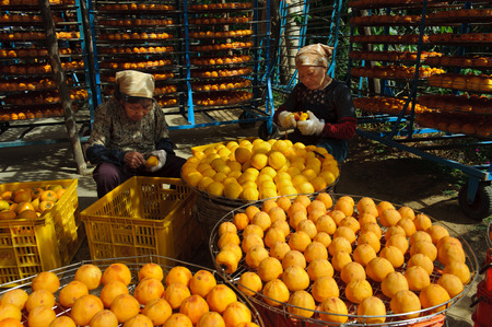 Arrayの写真素材