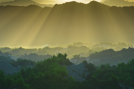 Arrayの写真素材