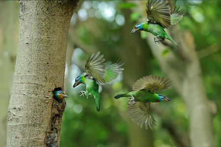 Arrayの写真素材