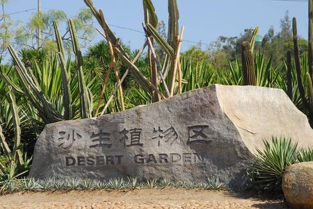 Plantsの写真素材