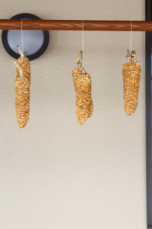 Corn cob hanging from the stickの写真素材