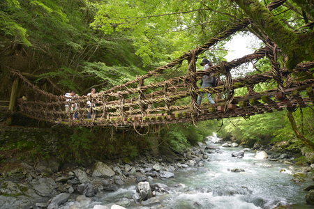 Aouzou surrounding valley,spot,Aouzou Double Vine bridge,Tokushima County,Miyoshi City,Japanのeditorial素材