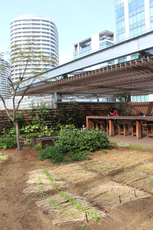 MARK is Everyones Garden Japanのeditorial素材