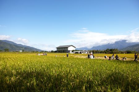 Chishang harvest travelのeditorial素材