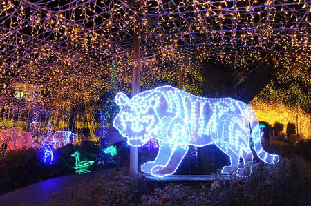 Aso,Farm Land,Japanのeditorial素材