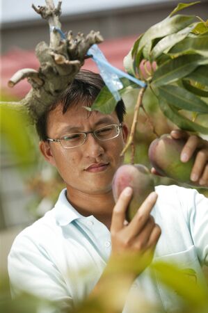 Pingtung;Taiwan;Chinaのeditorial素材