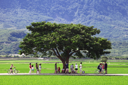 Browns Roadのeditorial素材