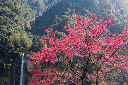 Bamboo lake,Yangming Mountain,Taipei,Taiwanのeditorial素材