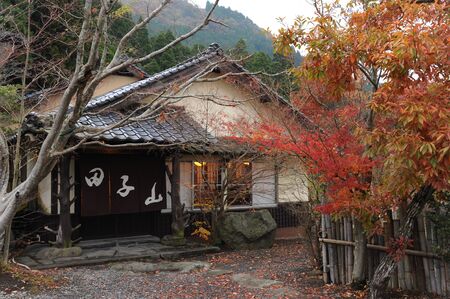 Food,Tago Mt.,Japanのeditorial素材