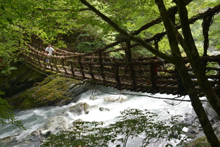 Aouzou surrounding valley,spot,Aouzou Double Vine bridge,Tokushima County,Miyoshi City,Japanのeditorial素材