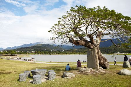 big slope pool picnicsのeditorial素材