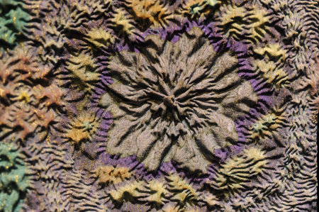 Hajime Kubota Bamboo Art Museums Japanのeditorial素材