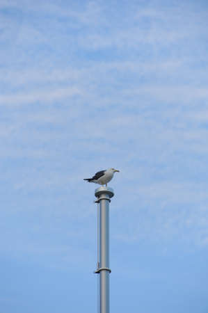 Spot, Cape Nosappu, Japanの写真素材
