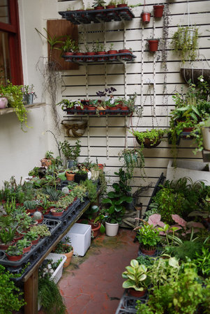 Alley Philharmonic-Finnishの写真素材