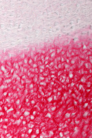 Wallpaperの写真素材