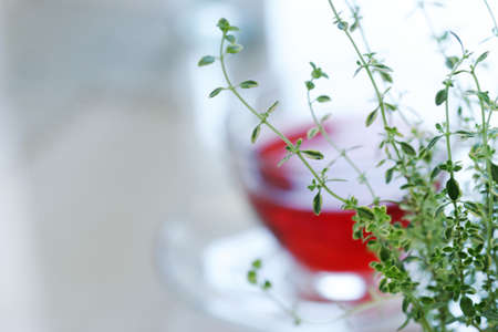 still lifeの写真素材