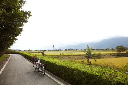 big slope pool picnicsの写真素材