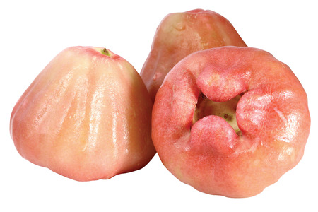 Close-up of fruit の写真素材