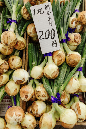 Green Morning Kamakura,Kamakura City Center,Food,Market,Japanの写真素材