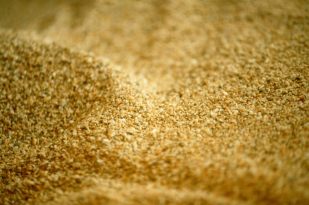 Pingtung;Taiwan;Chinaの写真素材