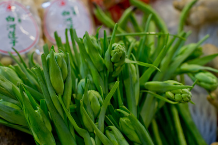 Nanmen marketの写真素材