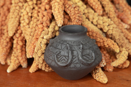 Millet workshopの写真素材