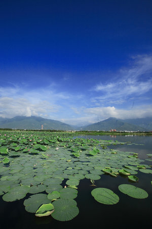 slope poolの写真素材