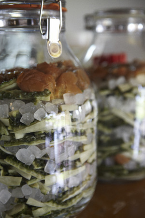 Braided Island Vegetable Cafeteria Tea, Japanの写真素材