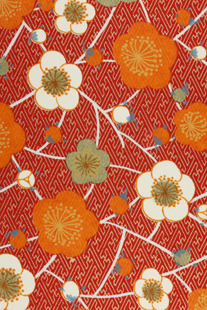 Wallpaper in Japanese styleの写真素材