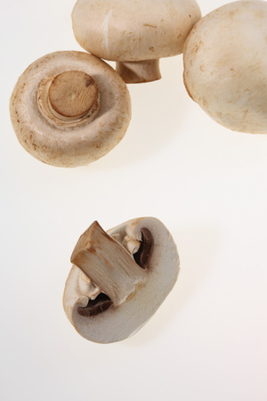 Mushroomsの写真素材