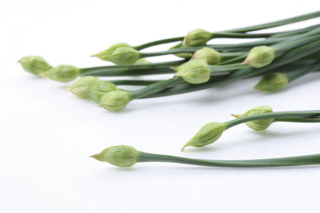 Garlic floral axis 