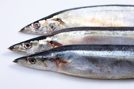 gourmetの写真素材