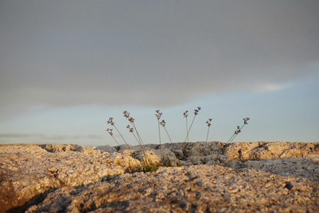 Resort Cafe KAI, Japanの写真素材