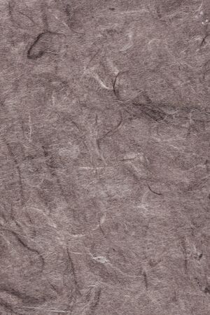 Wall paper の写真素材